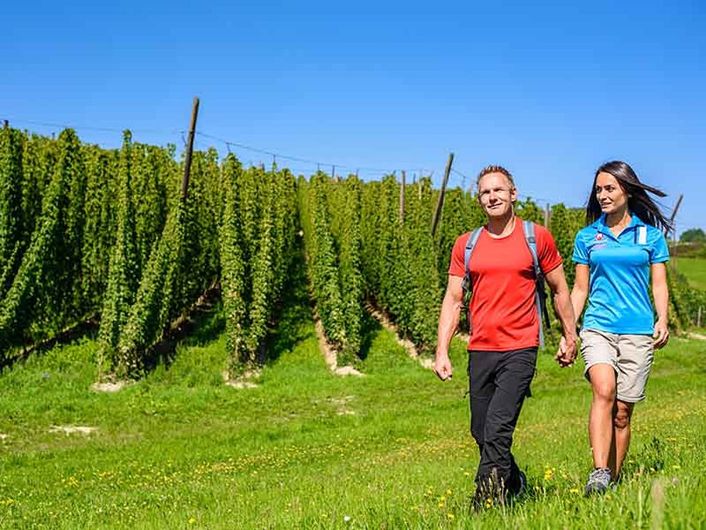 Paar wandert im Hopfengarten im Mühlviertel