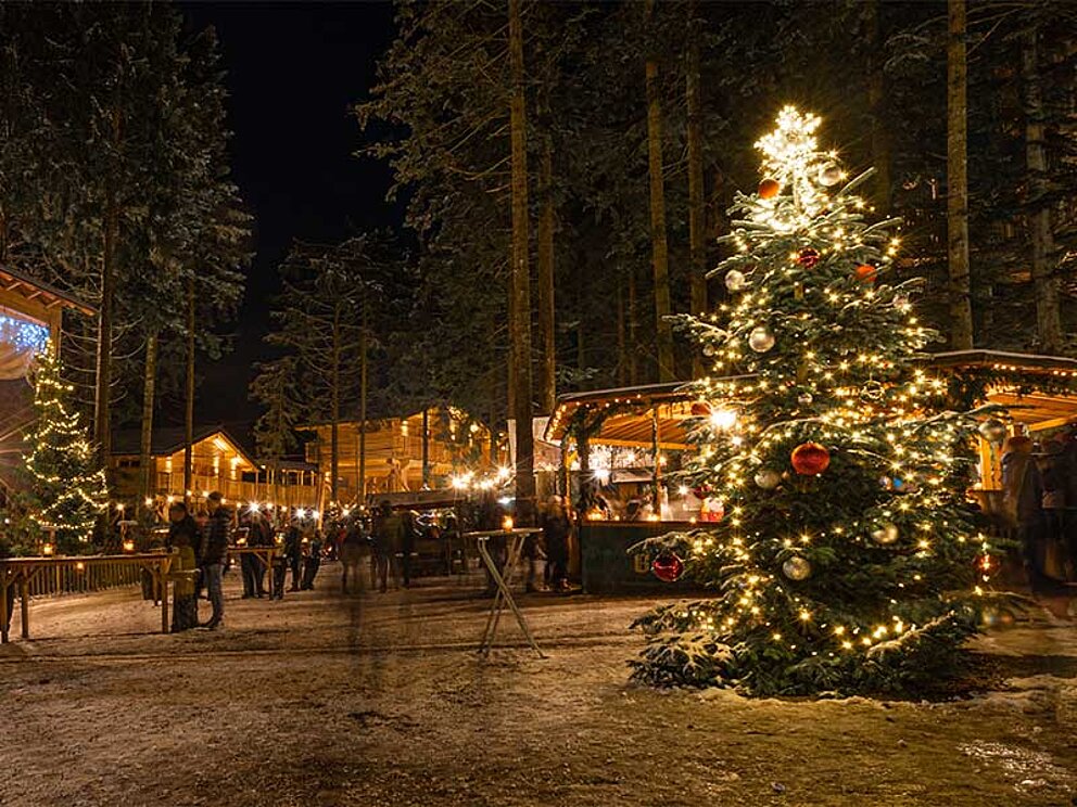Am Adventmarkt - Waldweihnacht am Baumkronenweg - beleuchtete Bäume und Hütten