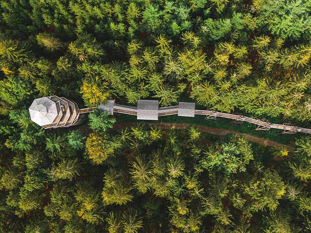 Baumkronenweg aus der Vogelperspektive.