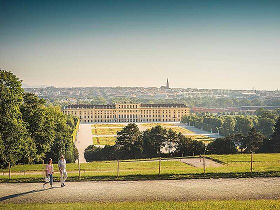 Paar spaziert im Schlosspark Schönbrunn. Im Hintergrund das Schloss und die Silhouette der Stadt.