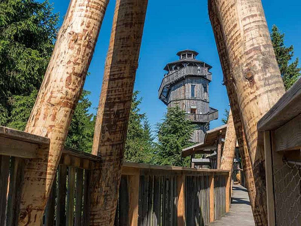 Ausflug zum Baumkronenweg in Kopfing