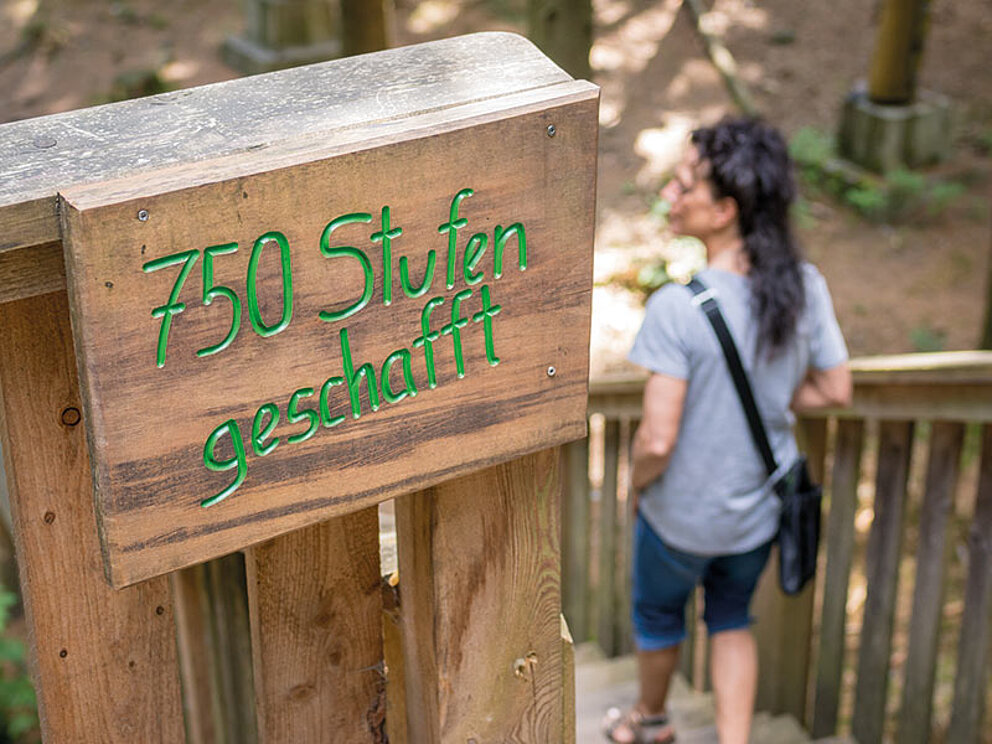 Schild am Ende des Baumkronenweges - 750 Stufen sind geschafft
