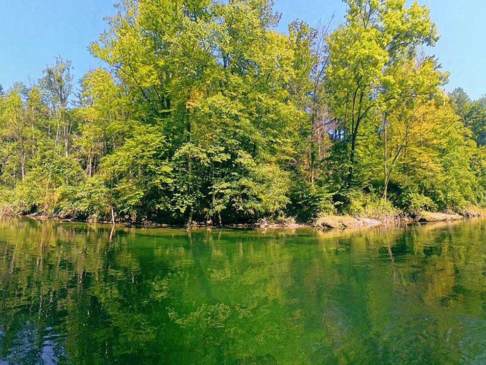 Bewaldete und idyllische Ufer am Fluss Traun
