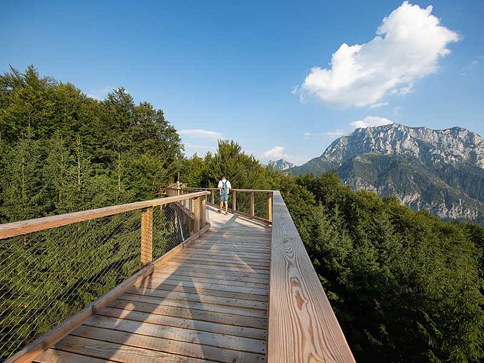 unterwegs am Baumwipfelpfad im Salzkammergut