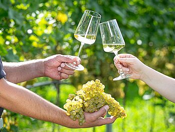 ein Weingläser, darunter eine Weinrebe