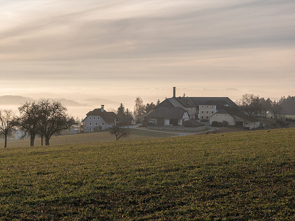 Außenansicht der Brauerei inmitten weiter Wiesen im Mühlviertel in herbstlicher Stimmung.