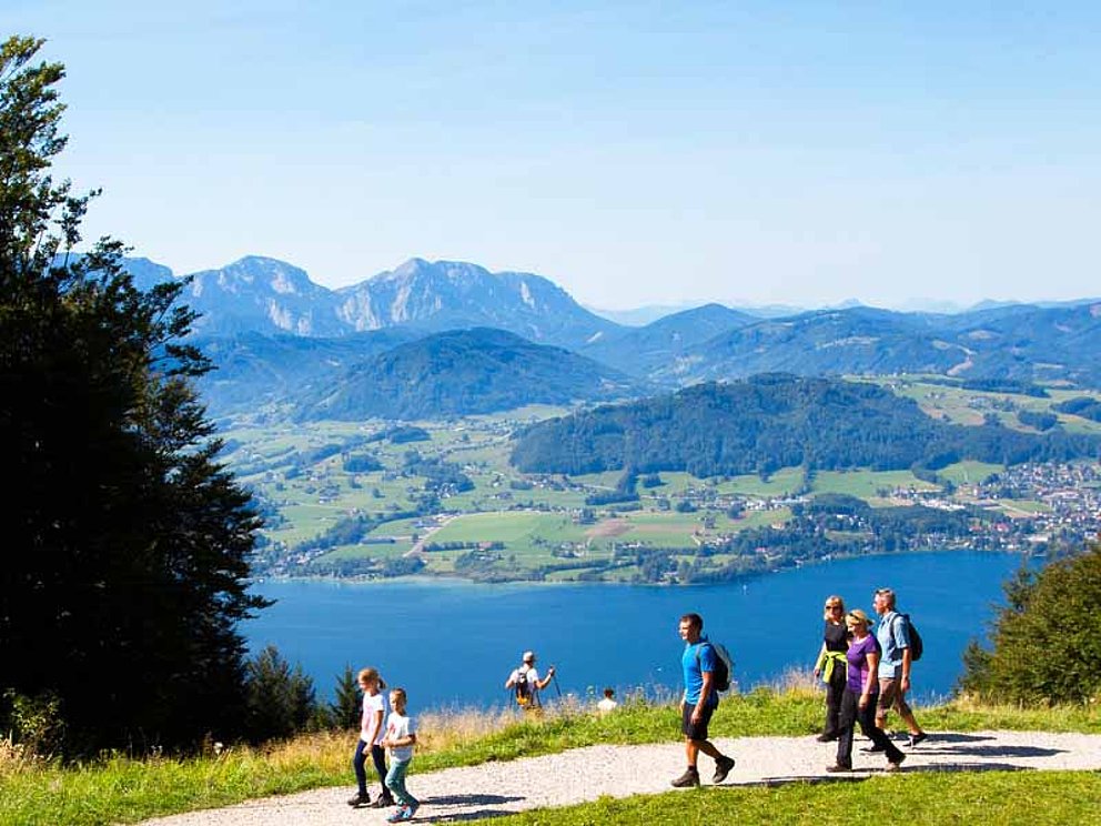große und kleine Wanderer am Grünberg, hoch über dem Traunsee