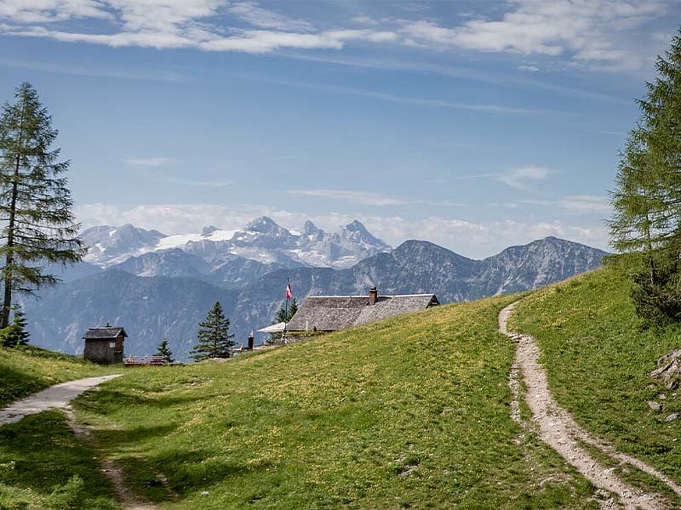 Wanderweg, eine Almhütte und Gebirgspanorama
