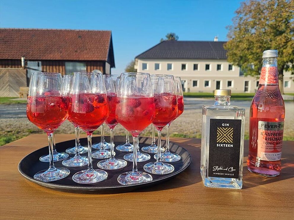 Ein Tablett mit pinkem Gin Tonic, im Hintergrund der Hof